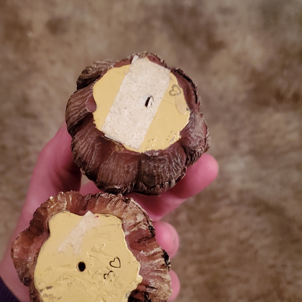 4️⃣Acorns🍁🧡🍂🎃🤎 - Picture 7 of 10